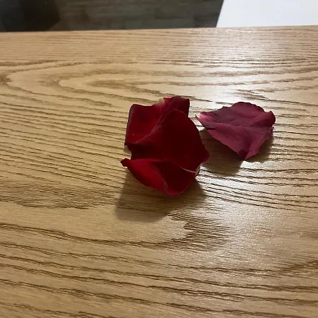 Guillermo House * Alghero