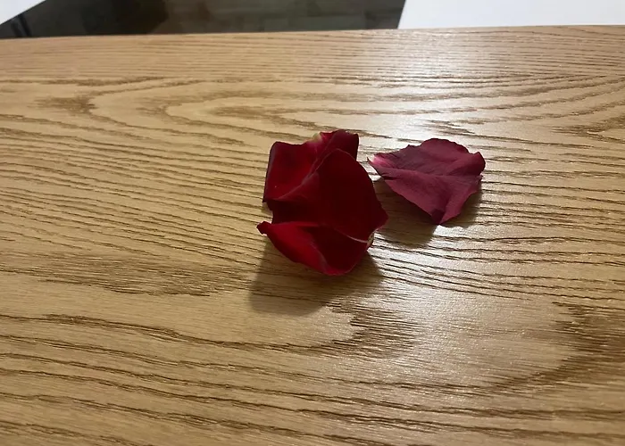 Guillermo House * Alghero