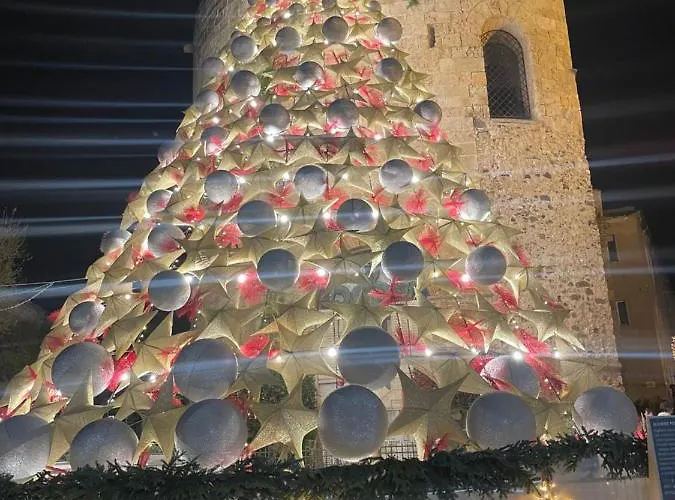 Appartement Guillermo House